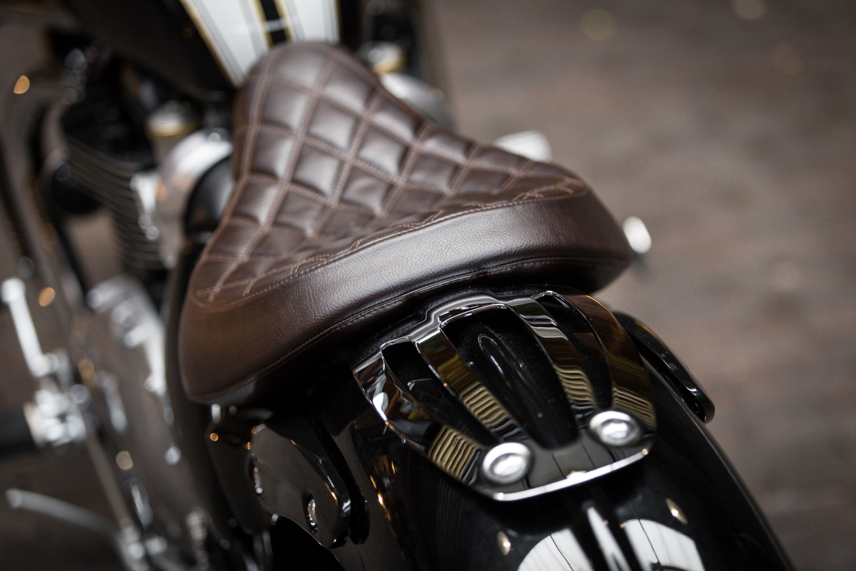 triumph speedmaster tail tidy