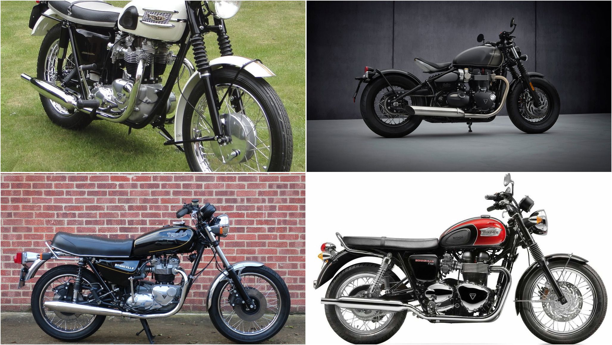 Triumph Bonneville - The Definitive Guide