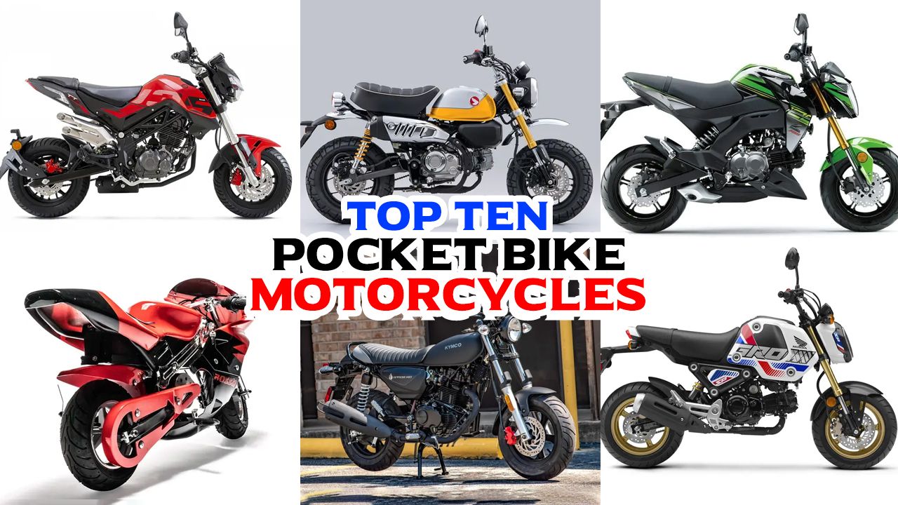 A Question about Pocket Bikes (mini-motorcycles) 