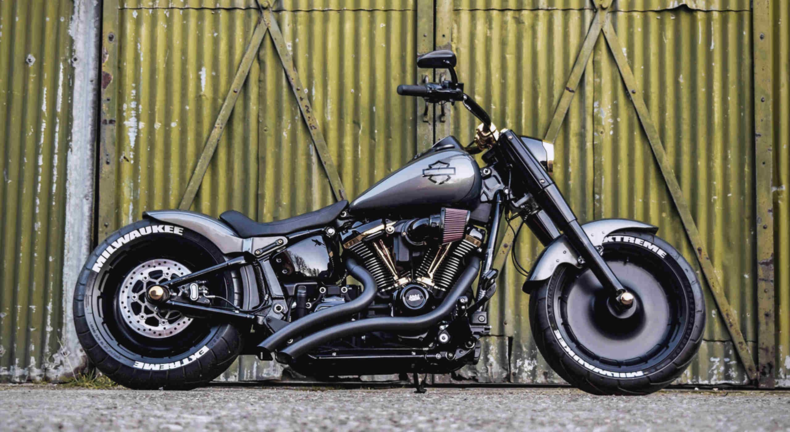 Custom Harley-Davidson Fat Boy 114 With Gold Components Will Make You ...