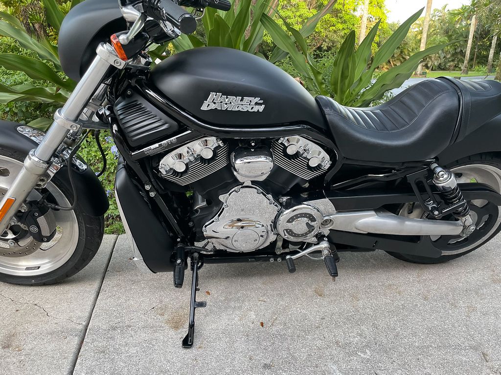 Superstar-owned Harley-Davidson Night Rod Wants You To Be Its Next Owner