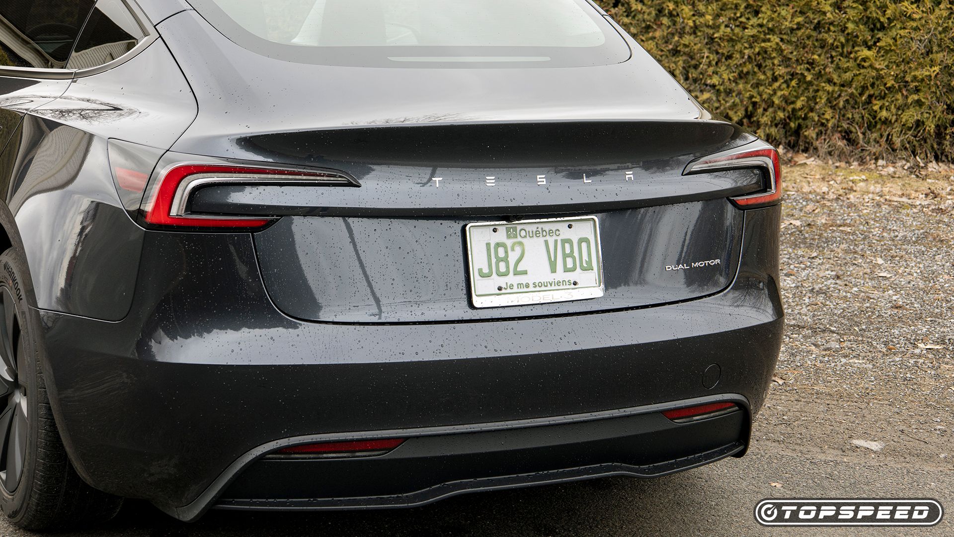 2024 Tesla Model 3 Rear