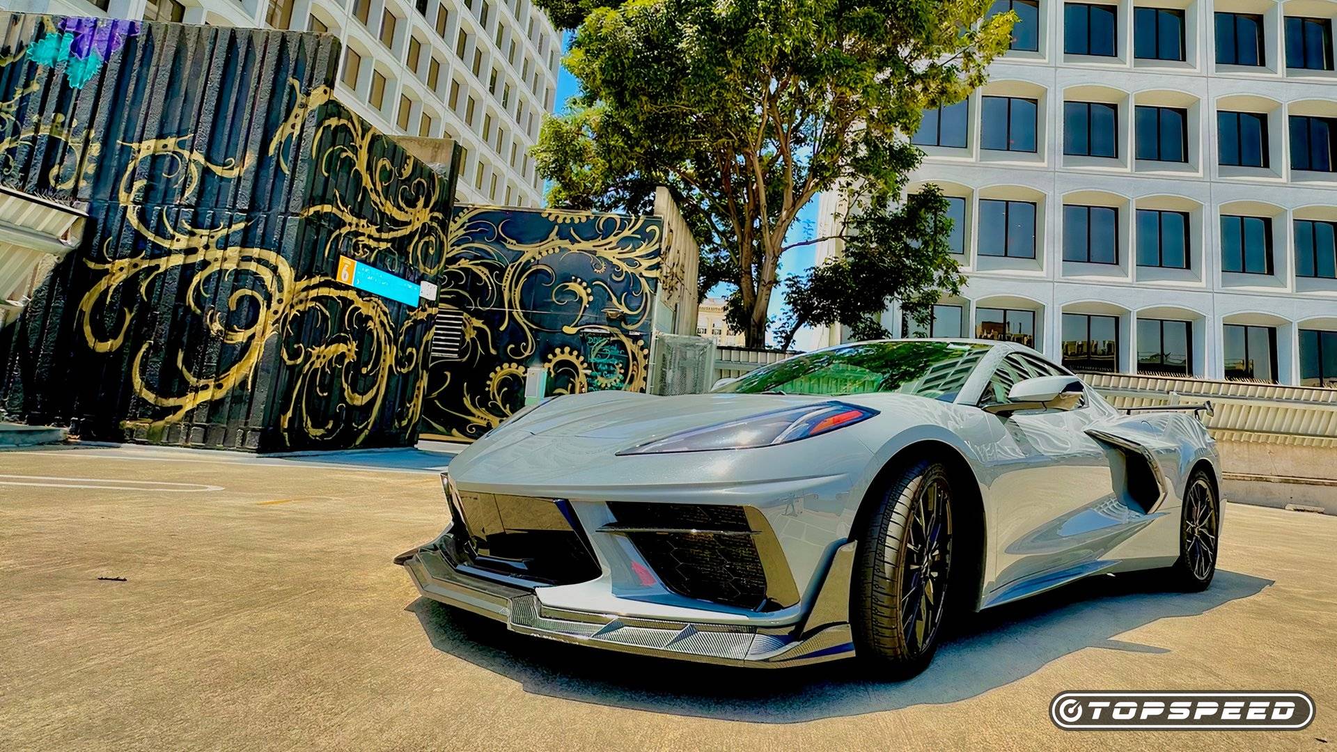 2025 Chevrolet C8 Corvette Interior & Exterior Color Sales Brochure – GM OEM, 2024 Pub